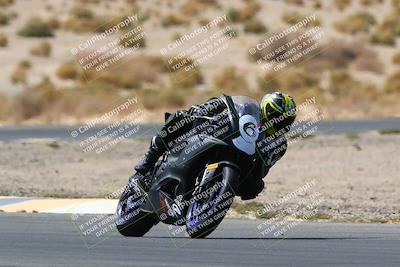 media/Apr-10-2022-SoCal Trackdays (Sun) [[f104b12566]]/Turn 5 Tree of Life (1040am)/